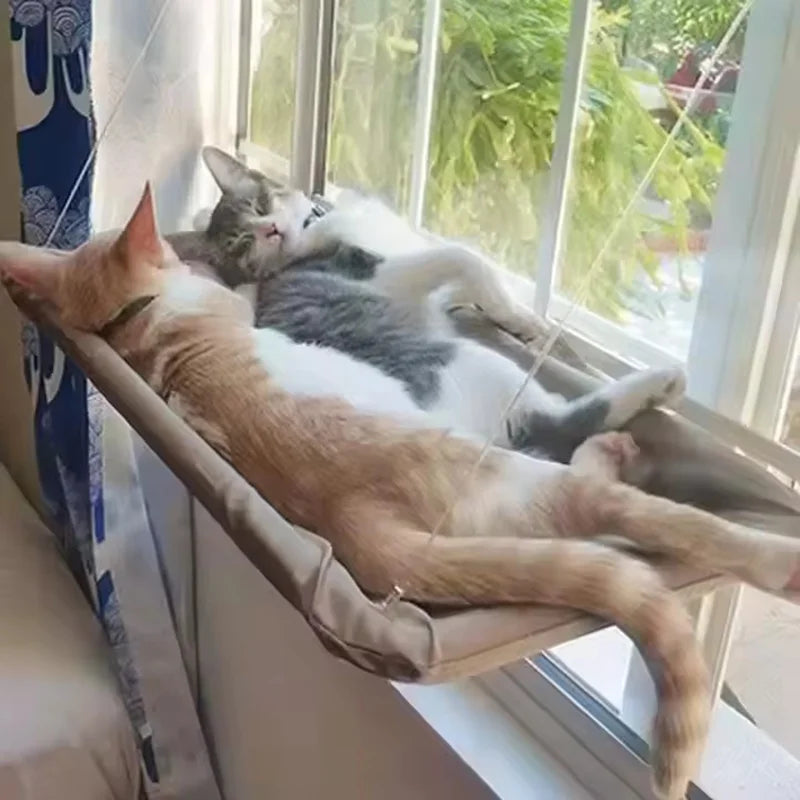 Fönsterhängmatta för Katt