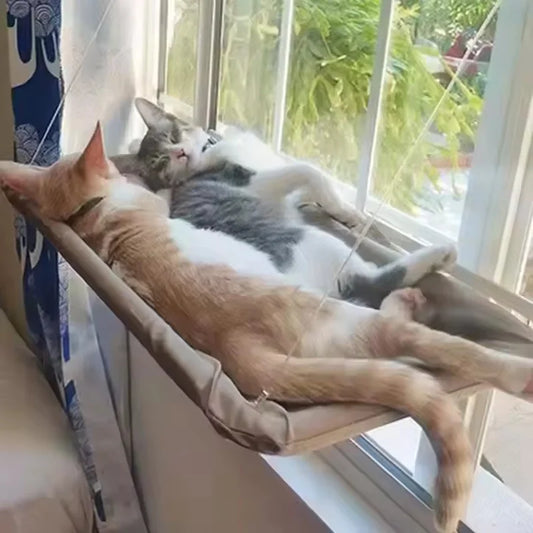 Fönsterhängmatta för Katt